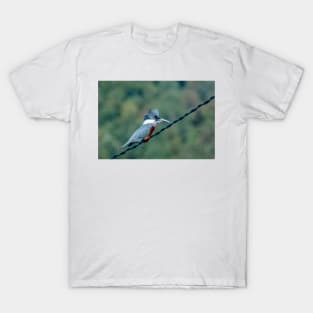 4917 kingfish on watch T-Shirt